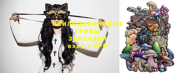 индика Семёнов